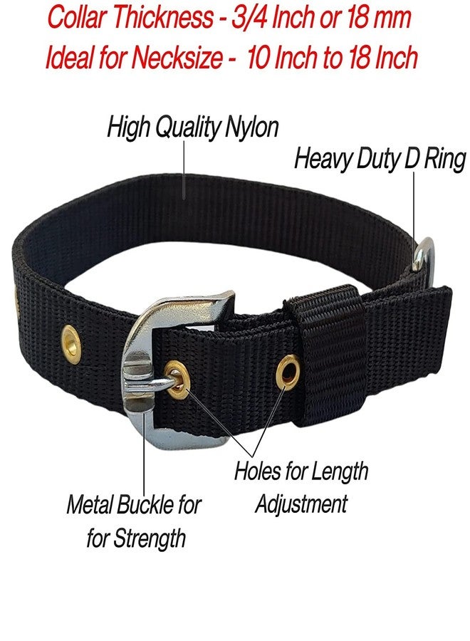 Petlicious & More® 3/4" Inch Thick Small Dog Collar with Dog Chain I Collar Size 10-18 Inch I Chain No. 10 Length 5 ft - Pack of Black Collar with Dog Chain - Image 2